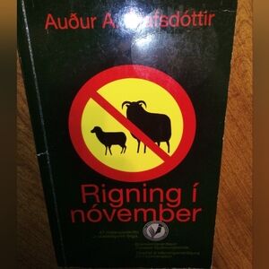 Rigning í nóvember Audur Ava Olafsdottir 2008 Salka Icelandic Edition Paperback